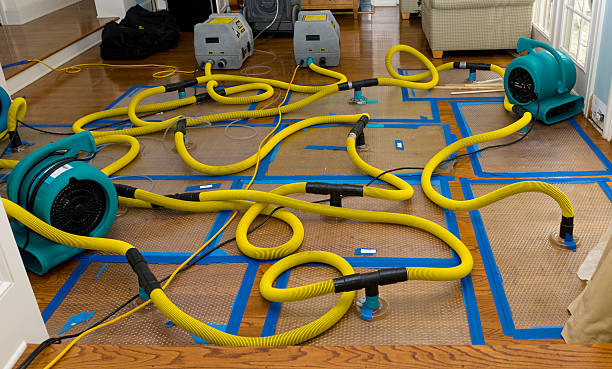 Professional Water Damage Restoration technician working in Bannister, MI