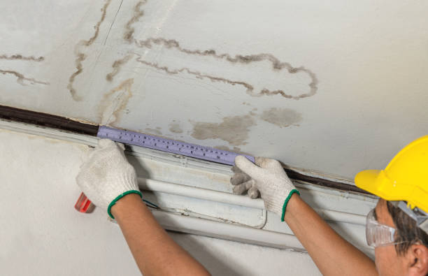 Affordable Water Damage Restoration solutions in Bannister, MI